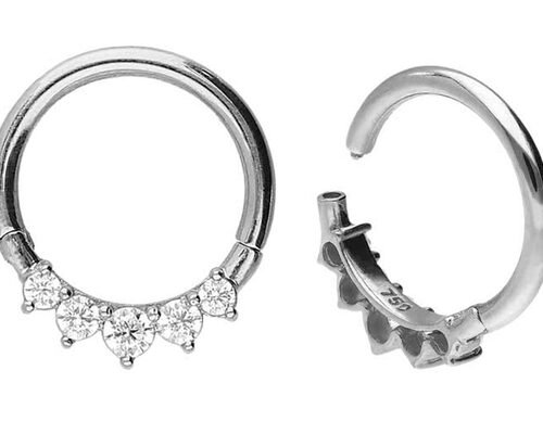 Surgical Hinged 14K Gold Clicker 5 Outer Claw Set Type Hypoallergenic