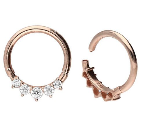 Surgical Hinged 14K Gold Clicker 5 Outer Claw Set Type Hypoallergenic
