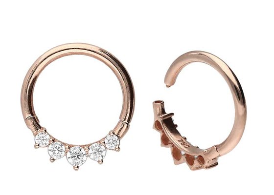 Surgical Hinged 14K Gold Clicker 5 Outer Claw Set Type Hypoallergenic