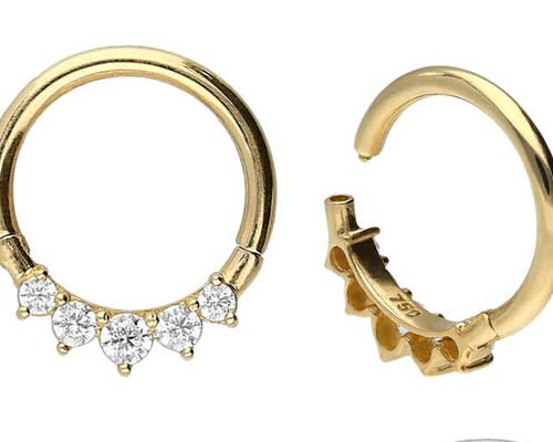 Surgical Hinged 14K Gold Clicker 5 Outer Claw Set Type Hypoallergenic