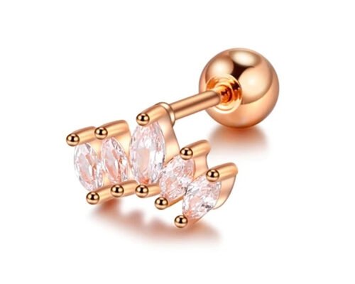 16g Crown Shape Gold Body Piercing Jewelry Earrings 6mm Length With Mq Diamond